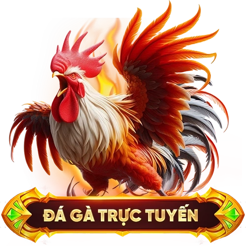 đá gà trực tuyến 88XX
